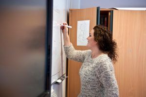 JC-Pleysier-docent-vacature